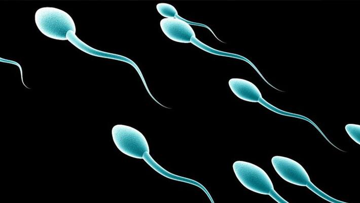 Want to Test Your Sperm? There's an App for That Want to Test Your Sperm? There's an App for That