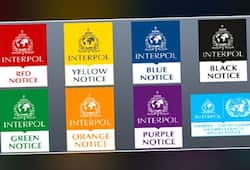 IMA scam: How Interpol uses different colour notices to locate fugitives