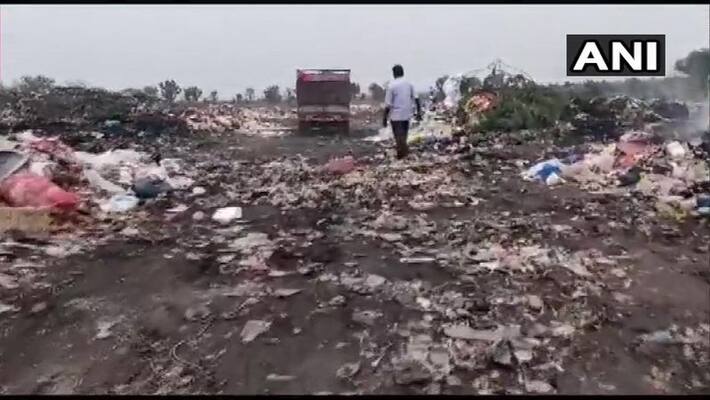 40 stray dogs killed and burried at Siddipet 40 stray dogs killed and burried at Siddipet
