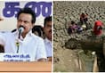 Tamil Nadu water crisis Pots are here where water Stalin questions govt