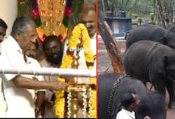 India first elephant rehabilitation centre  open  Kerala
