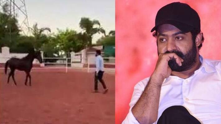 Jr NTR playing with Horse on the sets of Rajamouli RRR Jr NTR playing with Horse on the sets of Rajamouli RRR