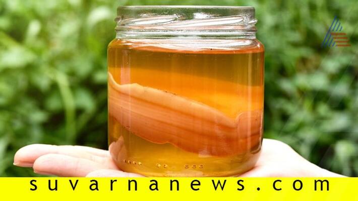 Health Benefits of Kombucha Tea Health Benefits of Kombucha Tea