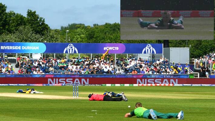 World cup 2019 Bee Attack during south africa vs srialnka league match World cup 2019 Bee Attack during south africa vs srialnka league match