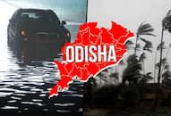 Odisha high alert after IMD forecasts heavy rainfall next 3 days