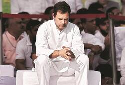 why rahul gandhi resigned as congress president know the reason here