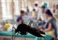Malaria hits New Delhi 51 persons affected June