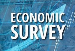 Economic Survey projects 6%-6.5% growth for 2020-21