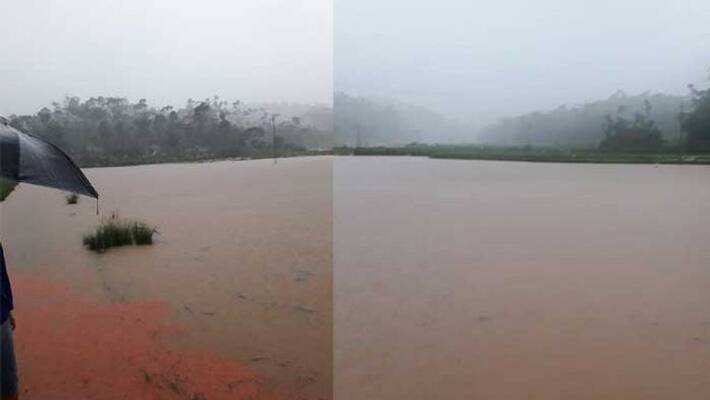 Red Alert Issued In Coastal And Malnad Due To Heavy Rain Red Alert Issued In Coastal And Malnad Due To Heavy Rain