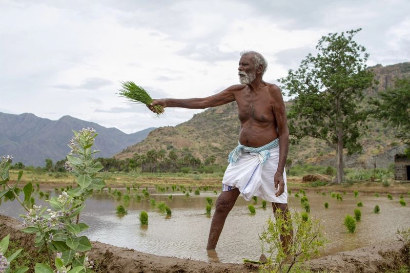 Vijay Sethupathi's Last Farmer Photo Gallery