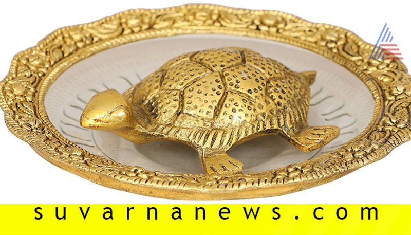 Tortoise vaastu tips that brings peace and prosperity