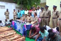 Andhra Pradesh Red sanders worth 11 lakh seized smugglers Nellore
