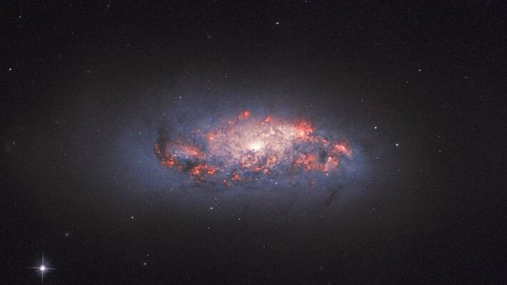 Hubble Watches Stars in Bloom In NGC 972 Hubble Watches Stars in Bloom In NGC 972