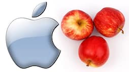 Social media splits Pakistani anchor confuses Apple Inc with fruit