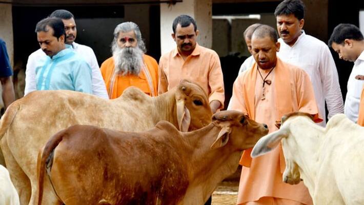 CM Yogi tricks to get rid of Mob lynching CM Yogi tricks to get rid of Mob lynching