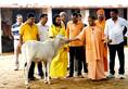 This special way taken by Chief Minister Yogi Adityanath to save cows