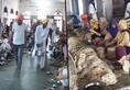 Amritsar Golden Temple feeds thousands becomes largest kitchen free food world