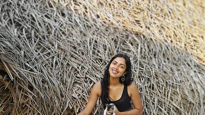 amala paul challenges lakshmi ramakrishnan amala paul challenges lakshmi ramakrishnan