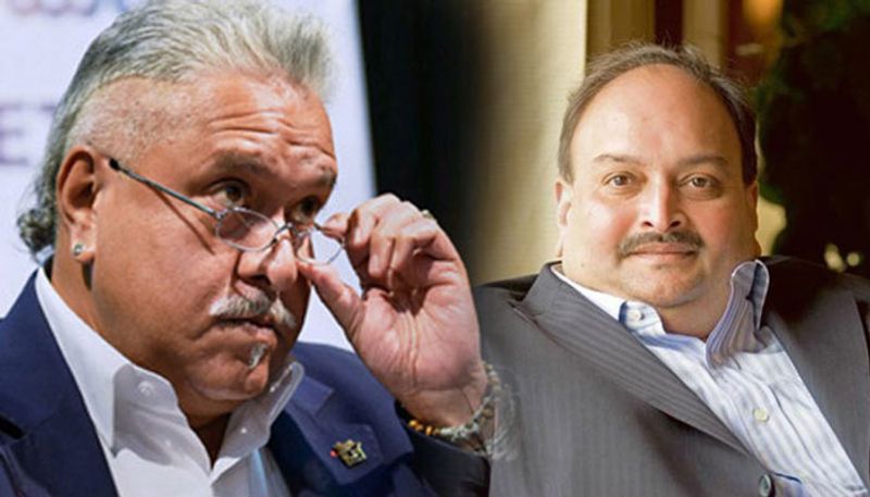 No HC relief to Vijay Mallya on proceedings for seizure of assets No HC relief to Vijay Mallya on proceedings for seizure of assets