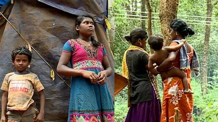 tribal students dropout their studies in Pathanamthitta tribal students dropout their studies in Pathanamthitta