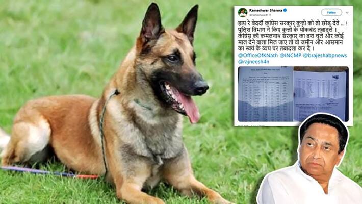 dog squad transfer in mp, bjp attack on kamalnath government dog squad transfer in mp, bjp attack on kamalnath government