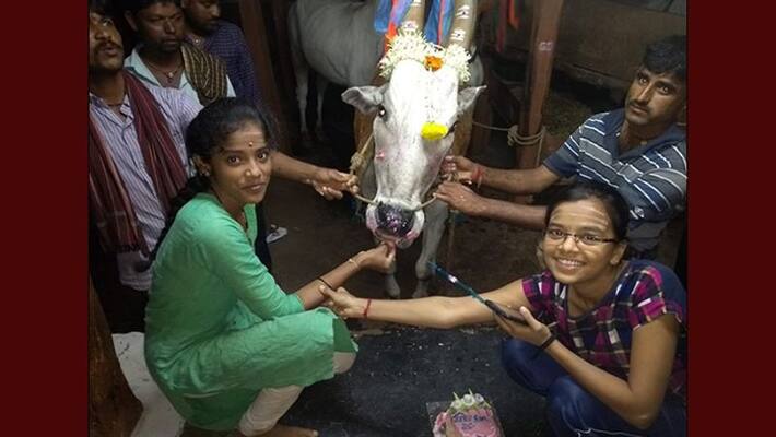 Farmer celebrates 25th birthday of his Bull Farmer celebrates 25th birthday of his Bull