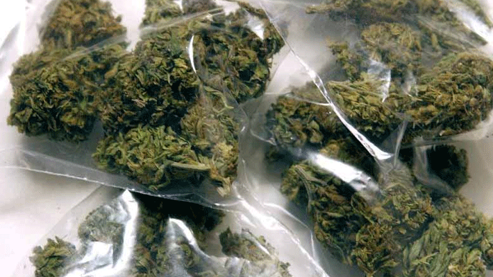 ganja and stolen products seized from idukki ganja and stolen products seized from idukki