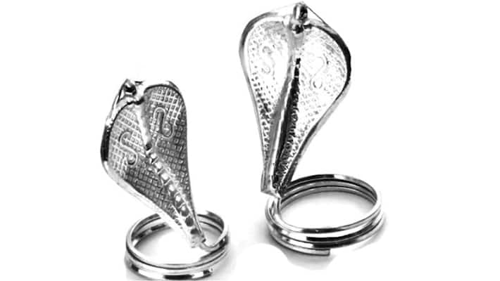 Know why silver pair of naag-naagin is put at the base while constructing house Know why silver pair of naag-naagin is put at the base while constructing house