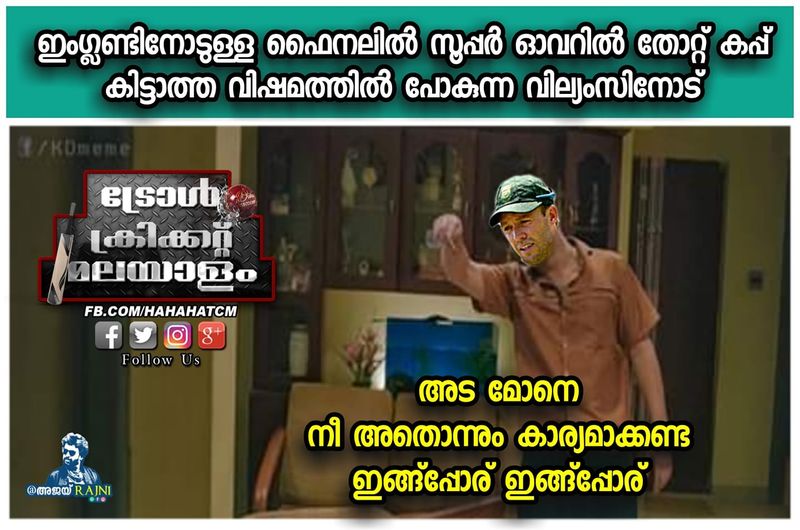 icc worldcup final troll said its a fate