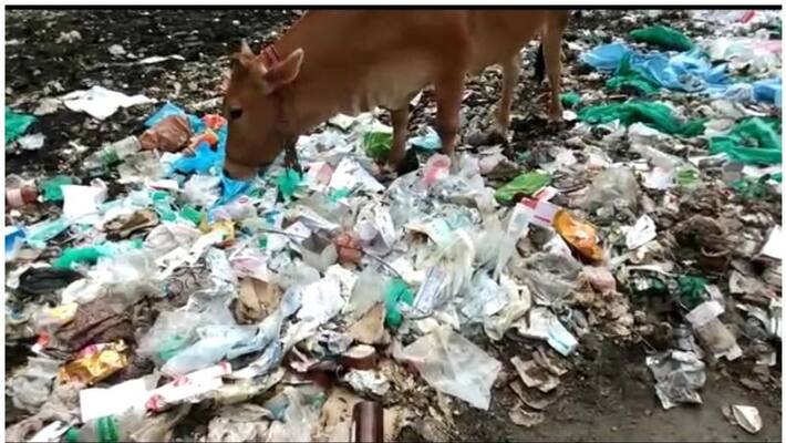 Chengalpattu Government Hospital ... Infection Risk of Medical Wastes Chengalpattu Government Hospital ... Infection Risk of Medical Wastes