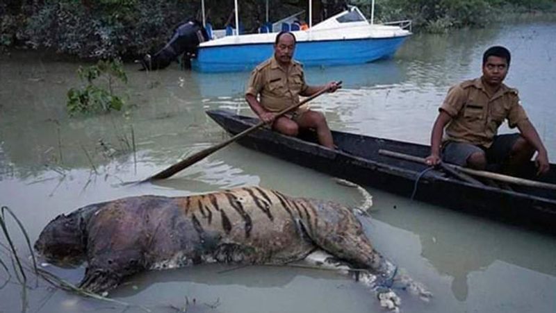 ये तस्वीर 2017 में असम में आए बाढ़ की है।