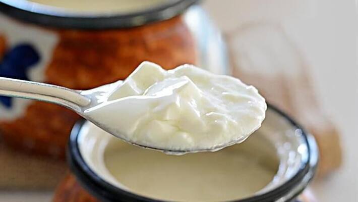 Curd can reduce weight and very much helpful for digestive system Curd can reduce weight and very much helpful for digestive system