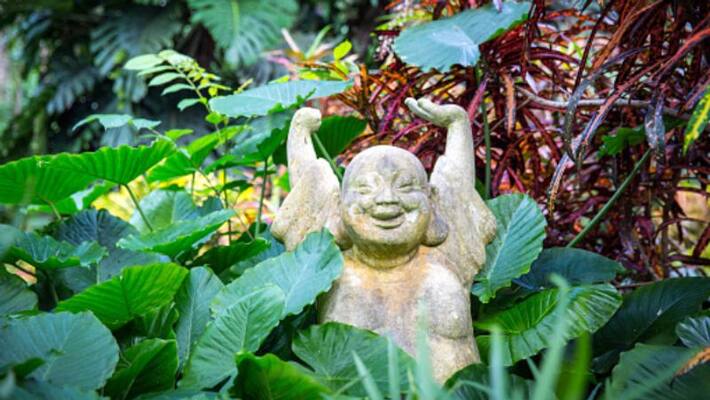 According to Feng Sui keep a Laughing Buddha here in your home According to Feng Sui keep a Laughing Buddha here in your home