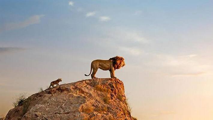 The Lion King movie review: Did Disney strike the right cord with reboot version? The Lion King movie review: Did Disney strike the right cord with reboot version?