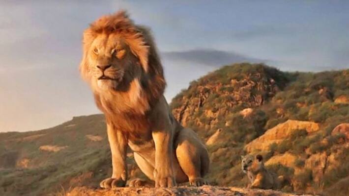 Shahrukh khan The Lion king Movie Review Shahrukh khan The Lion king Movie Review