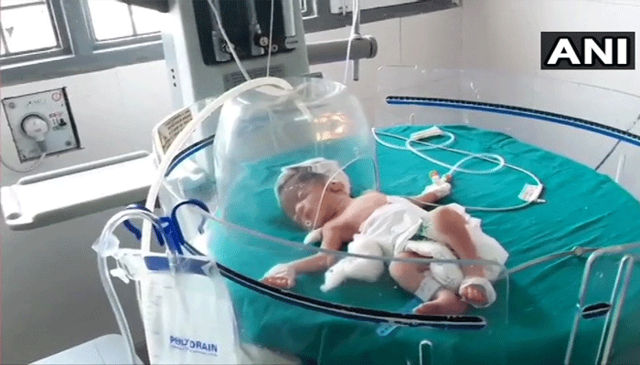 Dogs rescue newborn from drain in Haryana's Kaithal; CCTV shows mother dumping child Dogs rescue newborn from drain in Haryana's Kaithal; CCTV shows mother dumping child