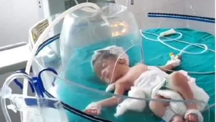 street dogs save newborn girl in haryana street dogs save newborn girl in haryana