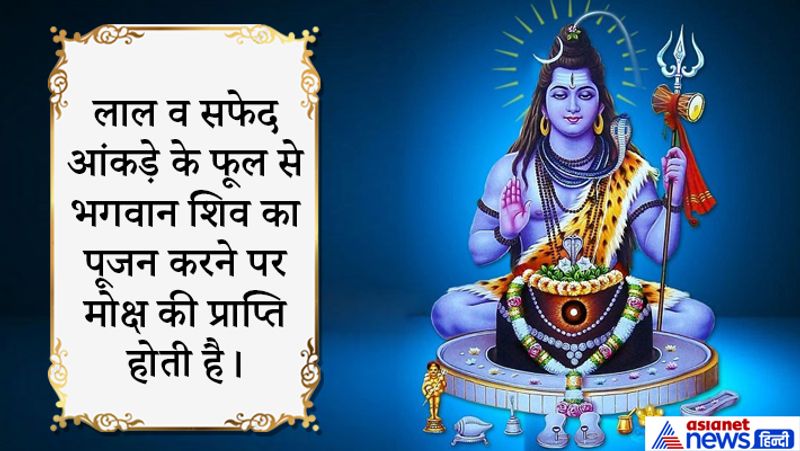 आंकड़ा या आक यानी मदार के फूल अर्पित करने से भगवान खुश होकर मोक्ष प्रदान करते हैं