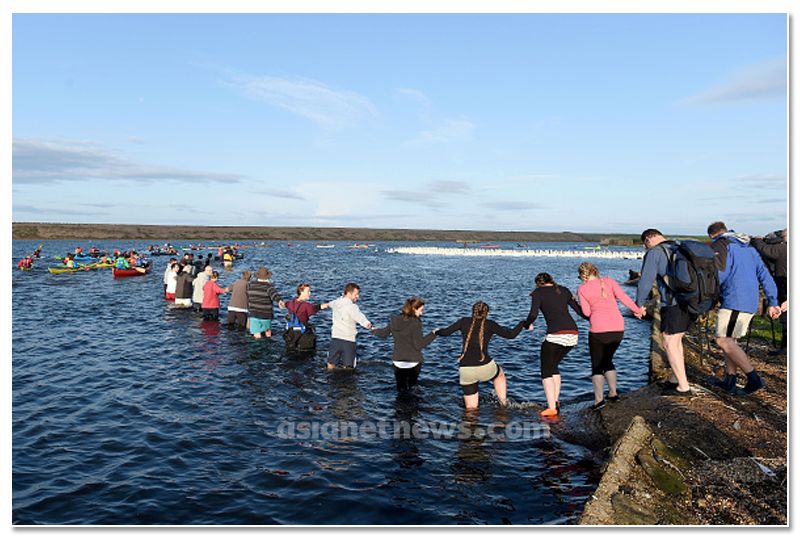 mute swan roundup 2019 at england