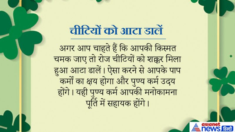 यदि आप अपने पापों को कम करके पुण्य का उदय करना चाहते हैं तो चीटियों को शक्कर मिश्रित आटे का भोग लगाएं। चीटियां भगवान विष्णु का प्रतीक मानी जाती हैं। नरसिंह अवतार धारण करने से पहले भगवान ने चीटियों को भेजकर भक्त प्रह्लाद का गरम खंभे से भय दूर किया था।