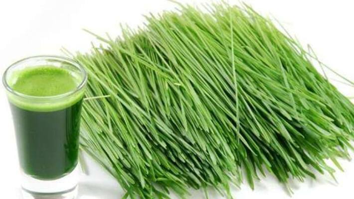 Medicinal Scutch grass juice: So many benefits if you drink it regularly! Medicinal Scutch grass juice: So many benefits if you drink it regularly!