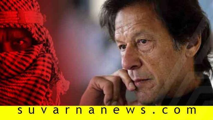 Pakistan PM Admits 40 Thousand Terrorists Are Active In Pak Soil Pakistan PM Admits 40 Thousand Terrorists Are Active In Pak Soil