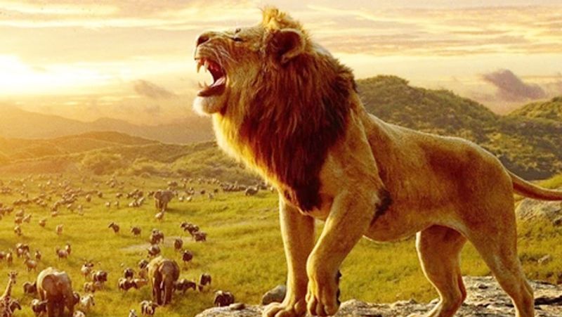 Navratri 2021: The Origins of Maa Durga's Lion Ride. All You Need to Know