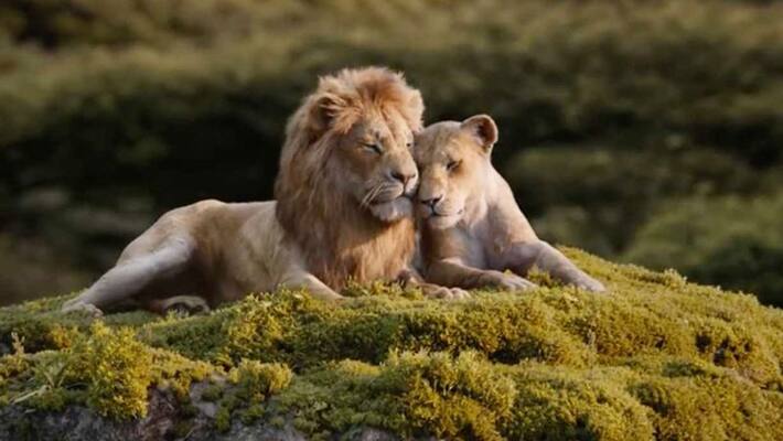The Lion king Box Office collection Day 5 will cross 100 crore The Lion king Box Office collection Day 5 will cross 100 crore