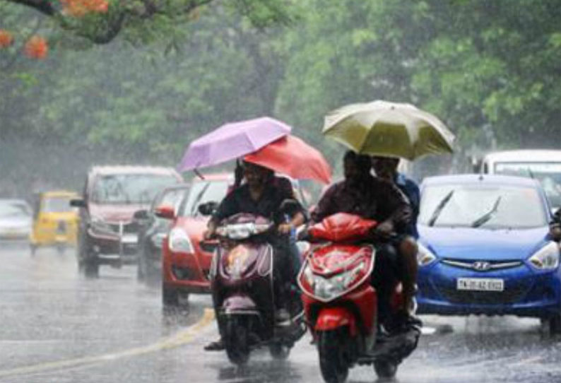 Rain in Chikkamagaluru District Rain in Chikkamagaluru District