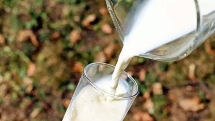 special force found that milkmaid made by shampoo and paint special force found that milkmaid made by shampoo and paint