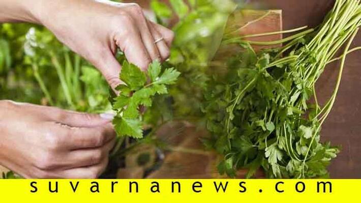 8 impressive health benefits of Parsley 8 impressive health benefits of Parsley