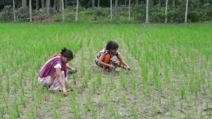 punarvasu karthe 2020-2021 rain breaking nakshtras punarvasu karthe 2020-2021 rain breaking nakshtras