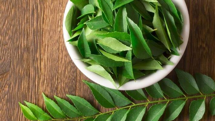 curry leaves can protect our eyes curry leaves can protect our eyes