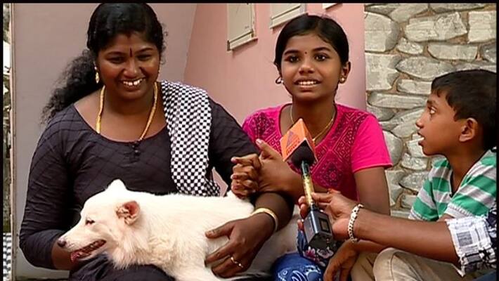 new owner for pomeranian who abandoned by owner due to illicit relation new owner for pomeranian who abandoned by owner due to illicit relation